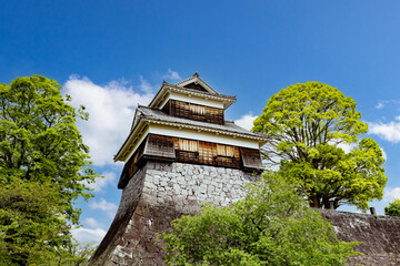 Fototapeta premium 熊本城壬申櫓