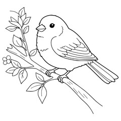 Fototapeta premium Canary bird, Drawing, illlustration, kawaii, coloring book