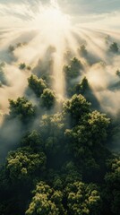 Obraz premium Ethereal Green Tech Ecosystem Radiant Sunlight Piercing Misty Forest Canopy - Sustainable Innovation Visualization for Climate-Conscious Branding