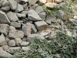 stone texture and background. close up of stones in the garden