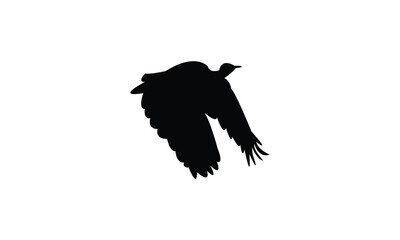 Flying African houbara bird Silhouette Design  And Vector Illustration. 