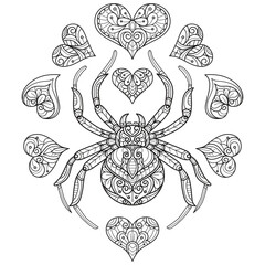 Spider and heart hand drawn for adult coloring book