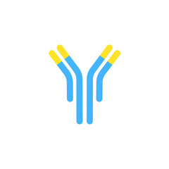 Antibody anatomy. Immunoglobulin Structure. Adaptive immune response. Vector illustration. 