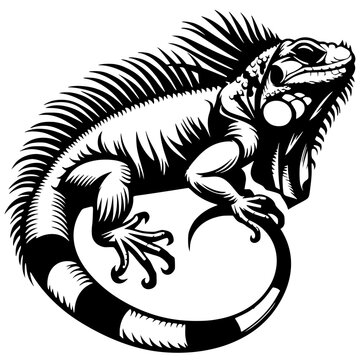 black and white iguana reptile clip art preview