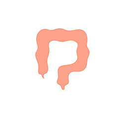 Appendix Anatomy Science. Vector Illustration