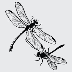 Two dragonflies clashing in the air image silhouette design vector art and illustration