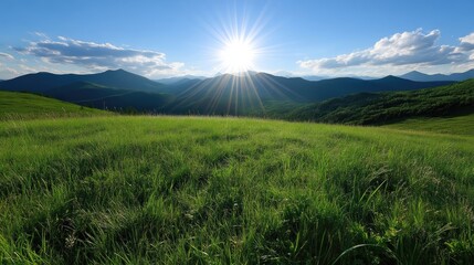 Fototapeta premium Lush meadow atop mountains at sunset. Vast expanse of vibrant green grass stretches across a high plateau, with distant mountain ranges and a radiant sunset in the background