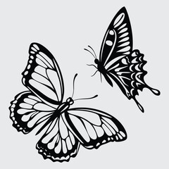 Two butterflies in a mid-air skirmish image silhouette design vector art and illustration