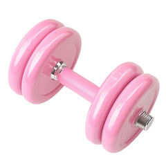 Two pink dumbbells Isolated on a transparent background
