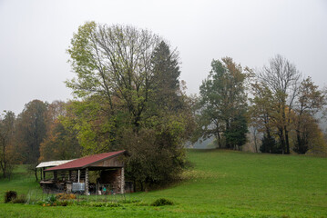 Wooden shelter farmhouse standing in green meadow surrounded by autumn trees on cloudy day