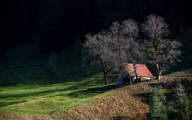 Small wooden hut stands in green meadow near colorful autumn forest. Chalet, lodge, in the...