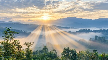 Majestic Sunrise Over Misty Mountain Landscape
