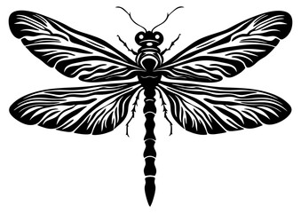 Art Nouveau dragonfly Graphic Accents, vector illustration, vintage elements	