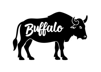 Obraz premium Silhouette of a Buffalo with 