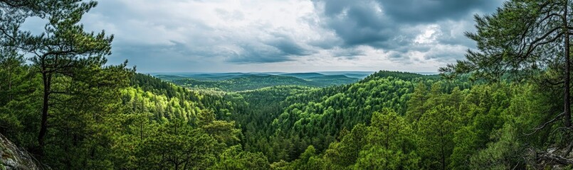 Lush Forest Valley Under Cloudy Sky