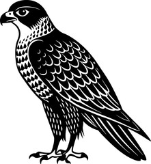 eagle vector illustration