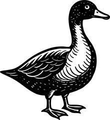 duck isolated on white background