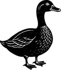 duck isolated on white background