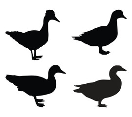 Fototapeta premium Black color duck silhouette vector illustration on a white background design. 