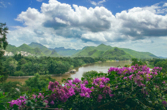 A scenic landscape of a mountain range in Thailand, with flowers in the foreground, creates a beautiful and peaceful scene.