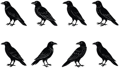 Crows Vector Shilhouette Bundle Set Collection