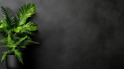 Dark backdrop featuring vibrant greenery