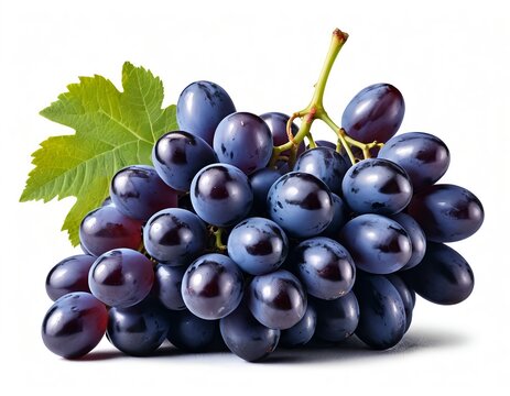 Bunch of ripe dark grapes with leaf