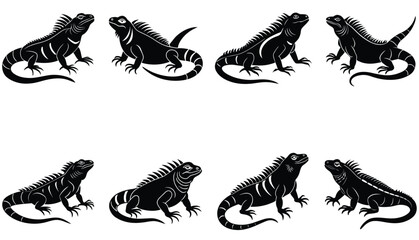 Iguana Vector Shilhouette Bundle Set collection