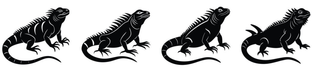 Iguana Vector Shilhouette Bundle Set collection