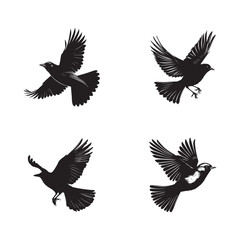 Hand drawn flying bird silhouette set illustration