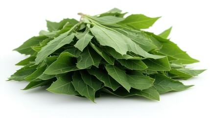 Fresh green leaves stacked