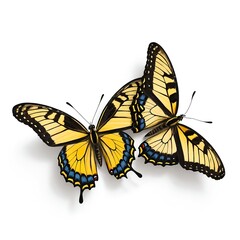 Obraz premium Two Yellow Butterflies in Flight