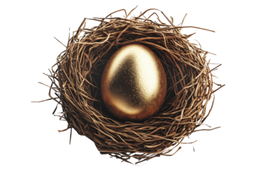 Nest filled with golden egg isolated on white transparent background. The concept symbolizes wealth, investment, and financial security