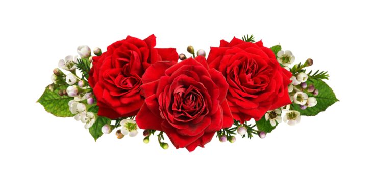 Red roses and chamelaucium flowers in a beautiful arrangement isolated on white or transparent background