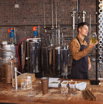 Distillery worker examining gin quality in modern craft gin distillery, copy space