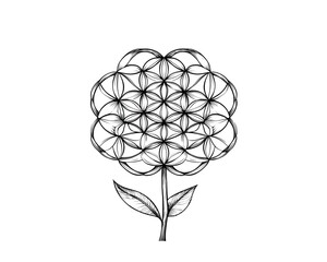 Flower of Life Sacred Geometry Art.