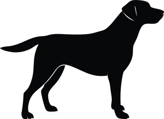 Labrador Retriever Silhouette, Side View, Minimalist Black Design, Isolated On White