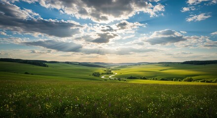 Obraz premium A scenic landscape of a green field with blue sky
