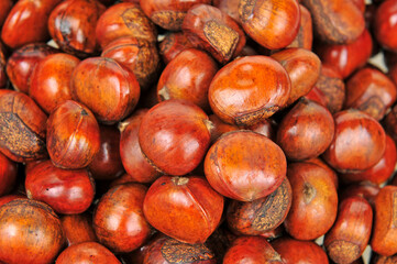 Fresh chestnuts