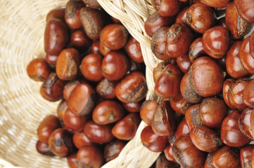 Fresh chestnuts