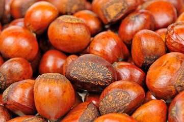 Fresh chestnuts