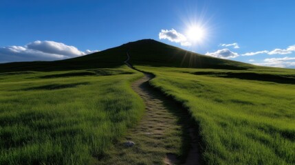 Fototapeta premium Winding dirt path leads up a lush green grassy hill under a bright sunny blue sky.