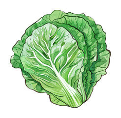 Obraz premium Watercolor Illustration of Cabbage with Detailed Veins and Overlapping Leaves on Black Background