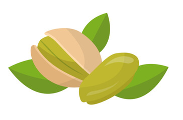 vector illustration of pistachio
