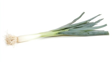 A single fresh leek, isolated on a white background