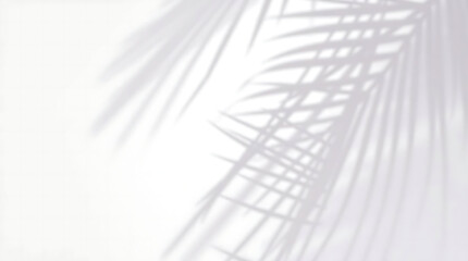 Realistic palm leaf shadow overlay effect isolated on white background, Natural shadow of tropical palm branch. Mockup of transparent shadow for product presentation, backdrop, Design elements, 