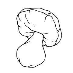 Line sketch,contour of a forest porcini mushroom.Vector graphics.