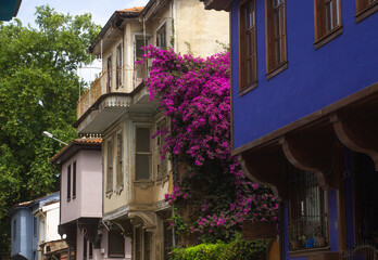 Traditional Mudanya houses. vernacular buildings. summer day. 