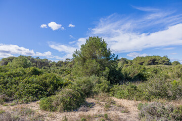 park albufera valencia - Parc Natural de l'Albufera