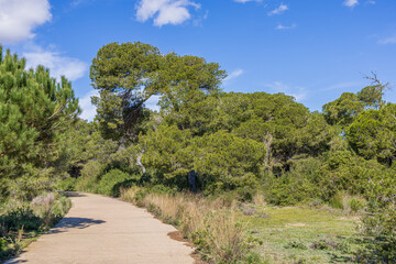 park albufera valencia - Parc Natural de l'Albufera